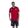 British & Irish Lions Mens Home Nations Polo Shirt -Sporty Tops Sales ccc3465 a70 01