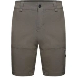 Dare 2b Mens Tuned In Offbeat Walking Shorts