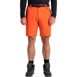 Dare 2B Mens Tuned In Pro Short Walking Shorts