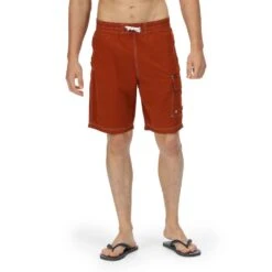 Regatta Mens Hotham IV Quick Drying Swimming Board Shorts